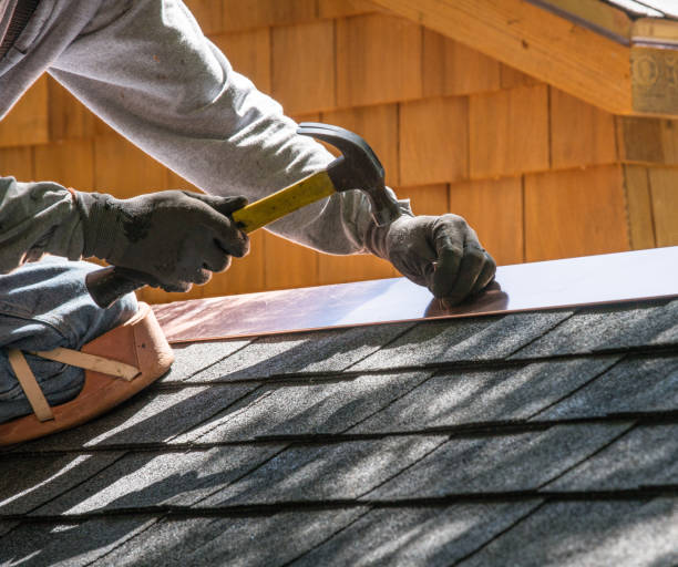 Roof Gutter Cleaning in College Park, GA
